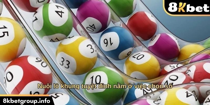 Nuôi lô khung tuyệt đỉnh nằm ở việc chọn số